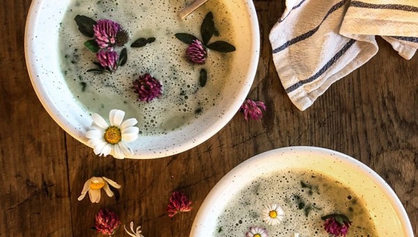 Gastronomie sauvage et médicinale